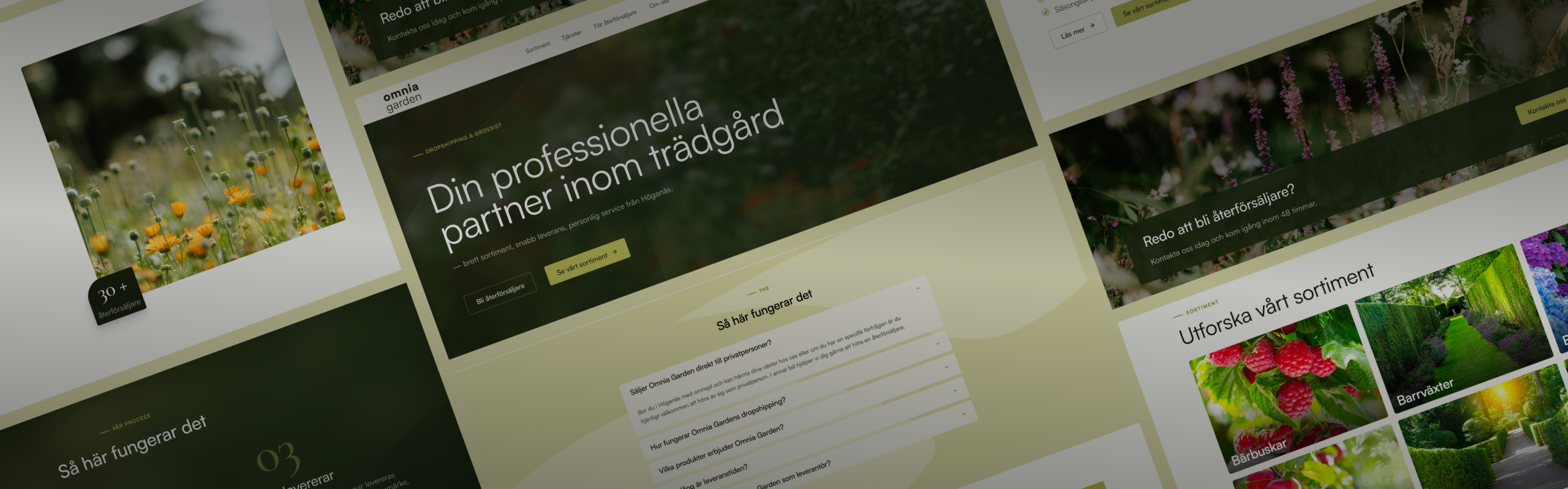 Header Omnia scaled