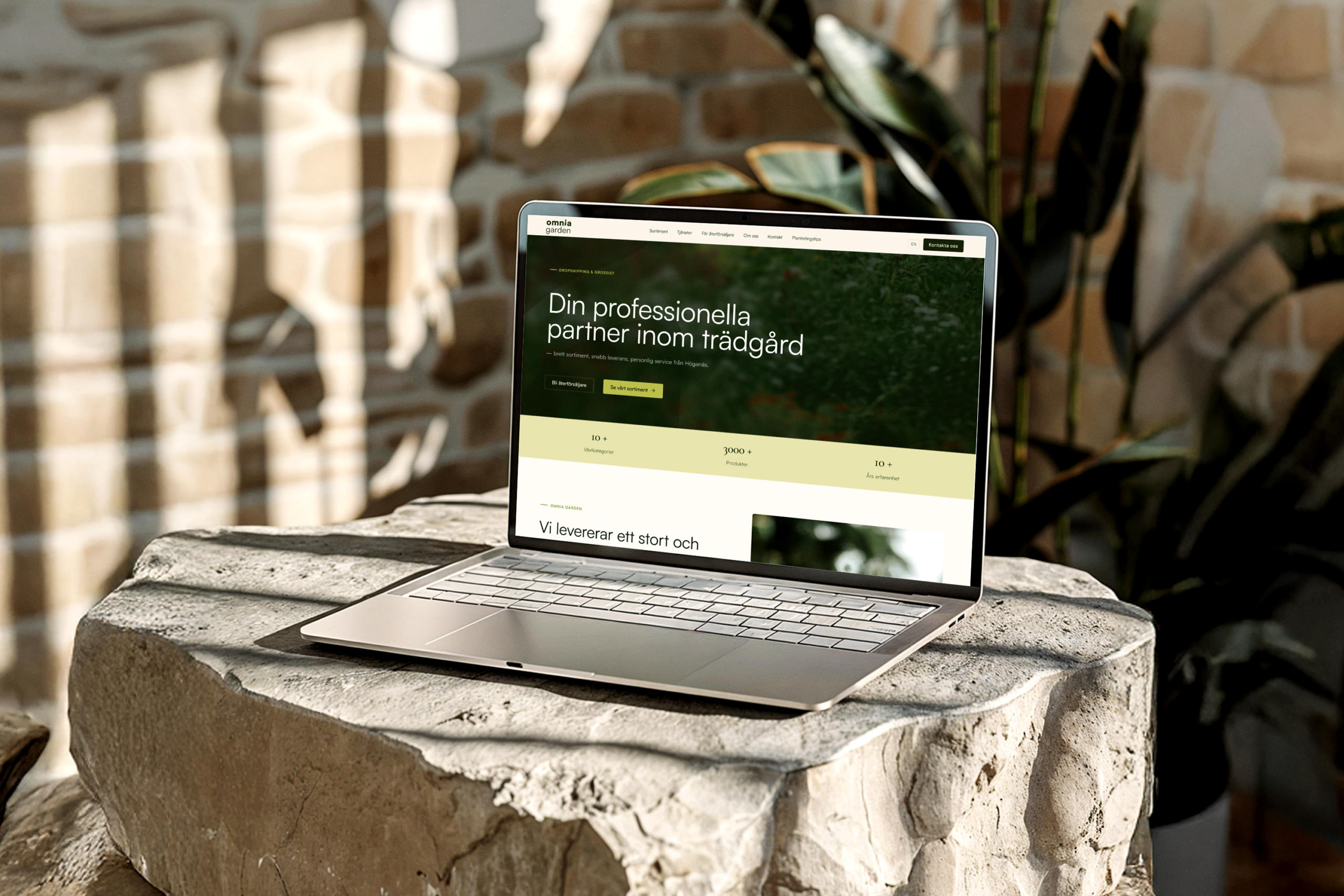 Macbook Mockup on Rocks Boho Interior 1 scaled